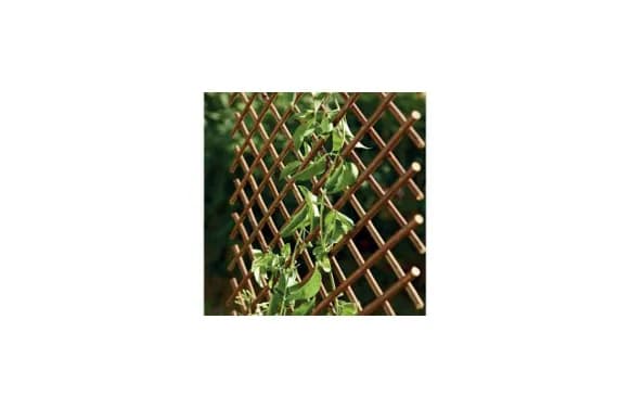 Celosia extensible mimbre