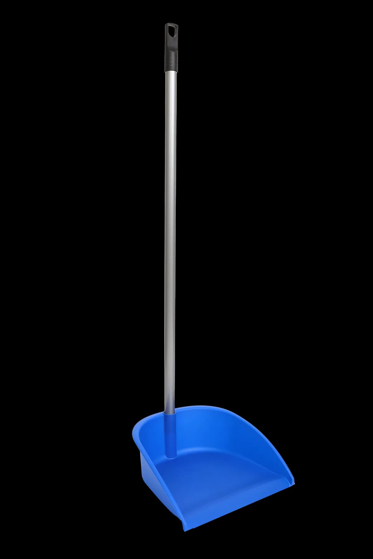 Recogedor con palo metalico plastificado basic