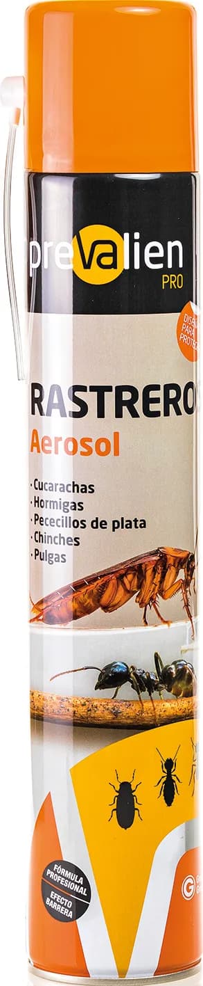 Insecticida rastreros