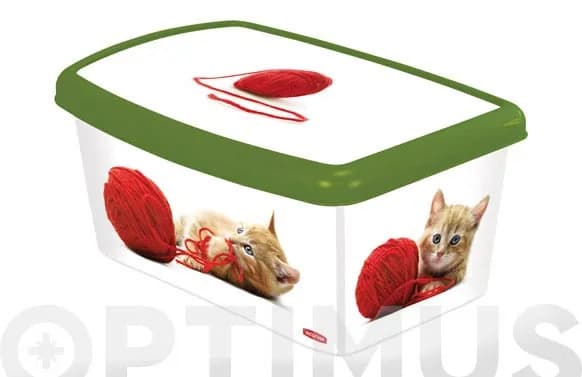 Caja decorada accesorios gatos