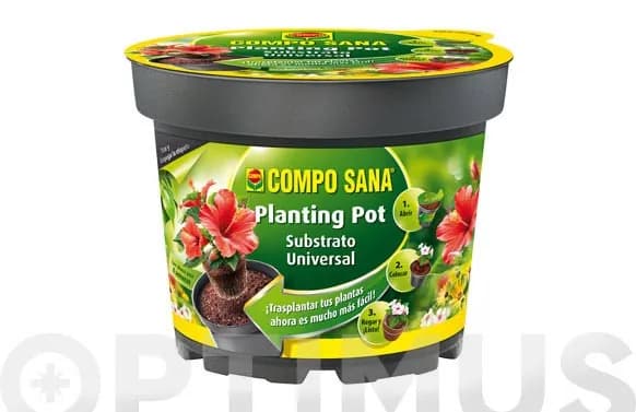 Maceta plantacion ' planting pot '