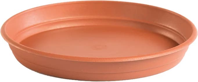 Plato maceta redonda gardenia