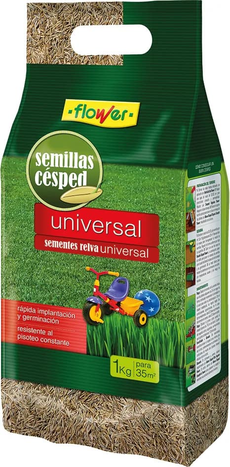 Semillas césped universal