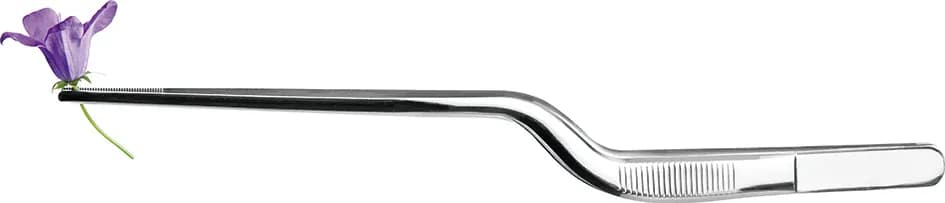 Pinza precision curva