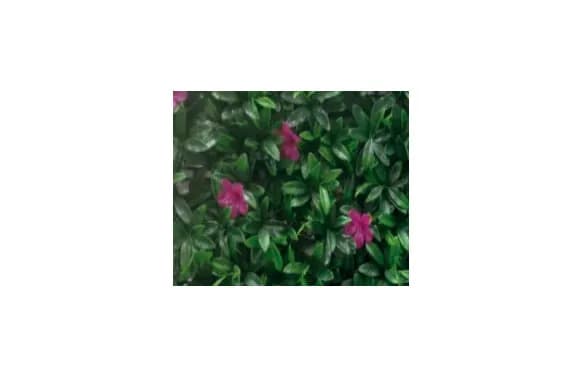 Jardín vertical malva