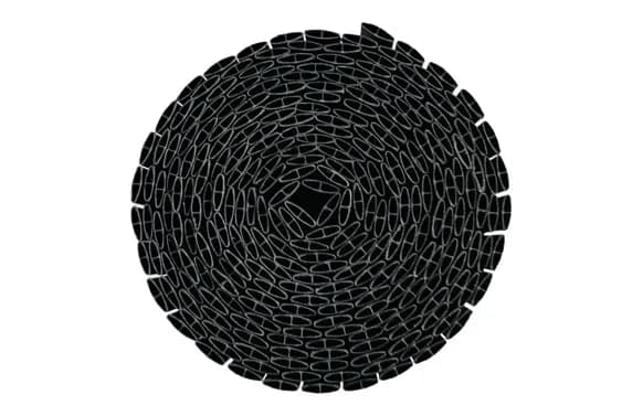 Cañizo reforzado dos cañas