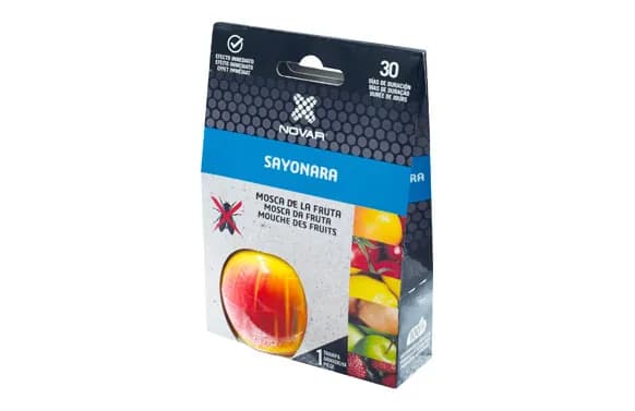 Trampa moscas fruta