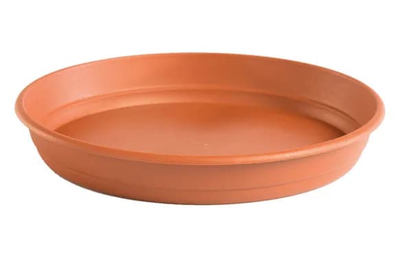 Plato maceta redonda gardenia