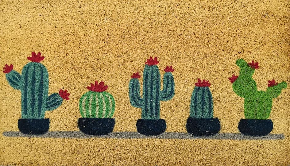 Felpudo coco estampado cactus surtido