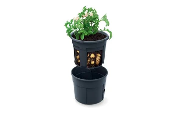 Maceta con estructura para cultivar tomates