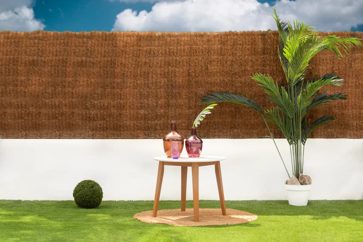Seto natural coconatur