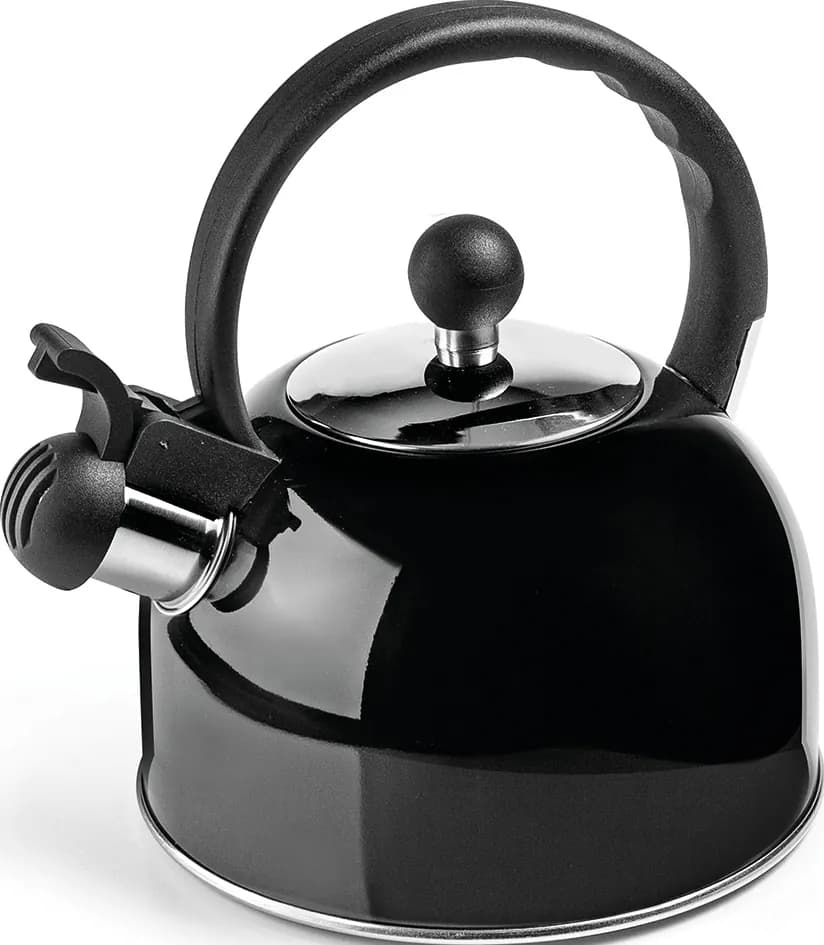 Tetera pava inox