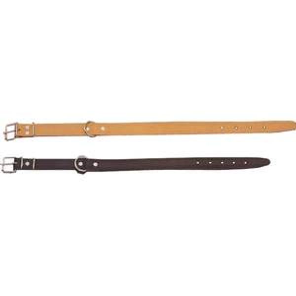 COLLAR LISO N 2 22X460