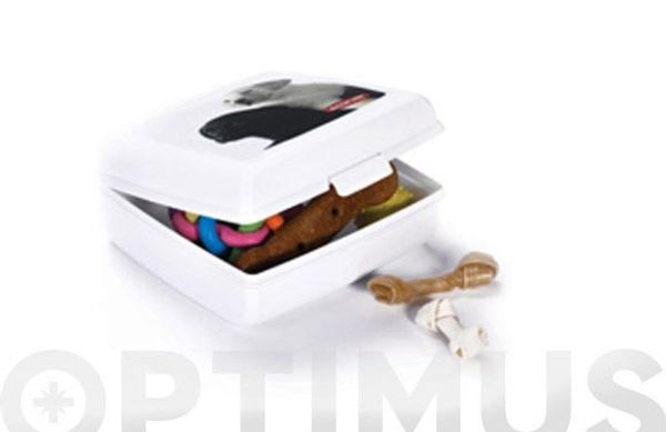 CONTENEDOR SNAP BOX "L" GATOS 02273-P73-01