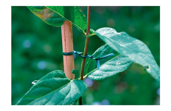 ALAMBRE ATADURA JARDIN ALMA VERDE 25 M