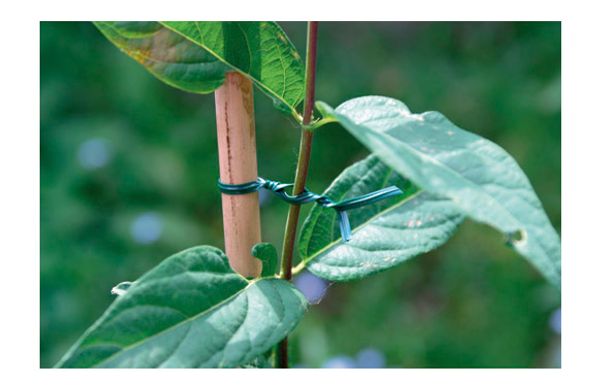 ALAMBRE ATADURA JARDIN ALMA ALAMBRE VERDE 100 M