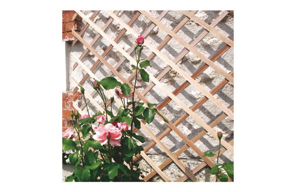 CELOSÍA EXTENSIBLE MADERA TRELLIWOOD 1 X 2 M