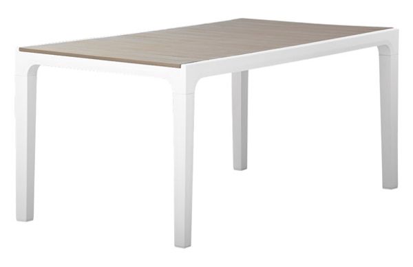 MESA RESINA HARMONY 160 X 90 CM