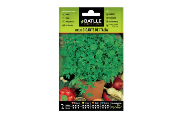SEMILLAS PEREJIL GIGANTE AROMATICA 
