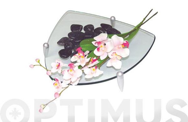 CENTRO CRISTAL TRIANG JAVIER