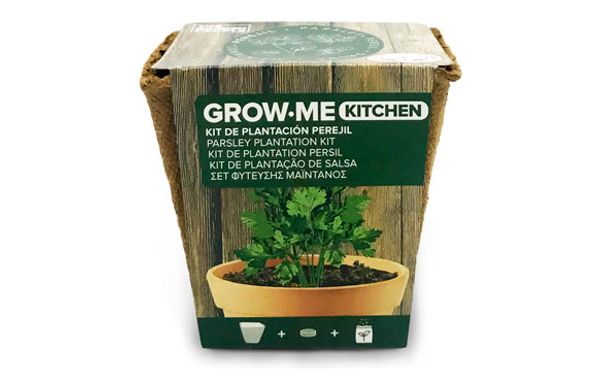 SEMILLAS PEREJIL GIGANTE ITALIA  1 GR