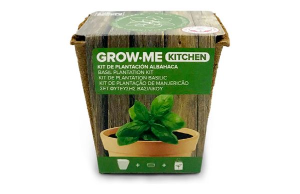 SEMILLAS ALBAHACA ANCHA  1GR