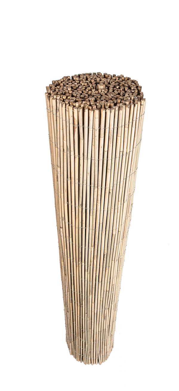 CAÑIZO BAMBU ENTERO NACIONAL 02X05M