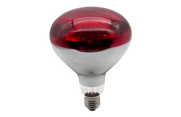 BOMBILLA INFRARROJOS R125 LED E27 250W