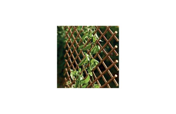 CELOSIA EXTENSIBLE MIMBRE 1 X 2 M